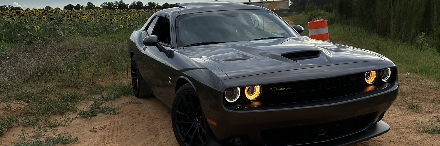 ripma_'s profile banner image
