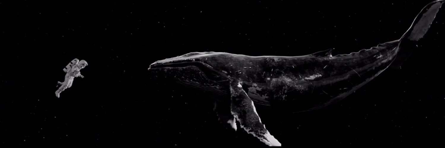 BBH_NY's profile banner image
