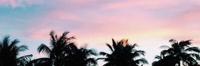 Karla Monge banner