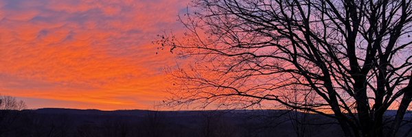 _nickwiser_ Profile Banner