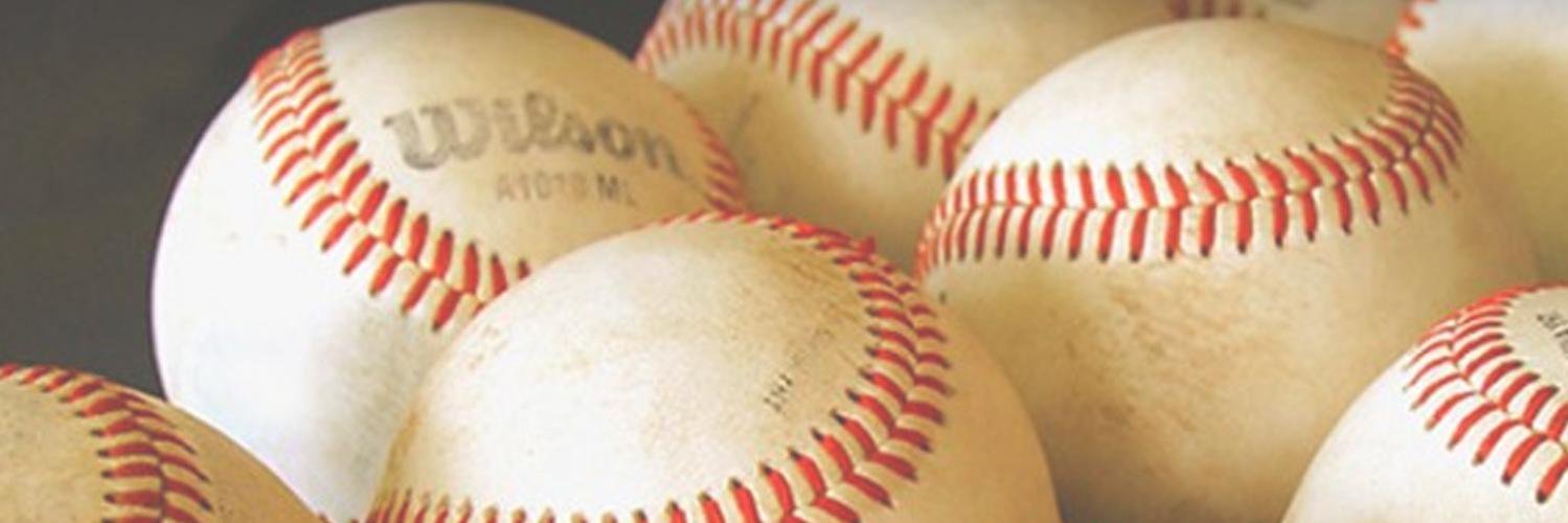 Bloom Twp. Baseball banner