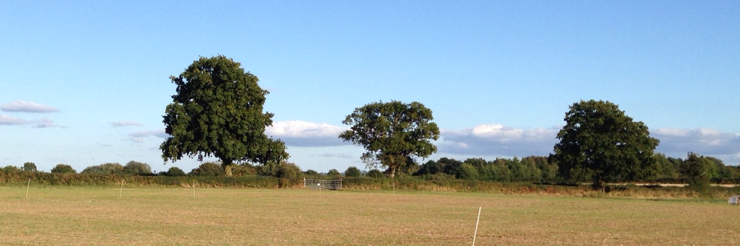 Linda Sheppard banner