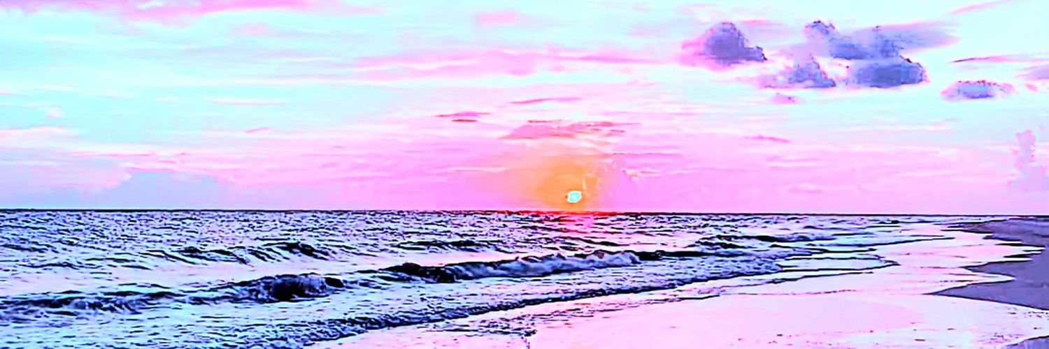 5Selena_sol's profile banner image