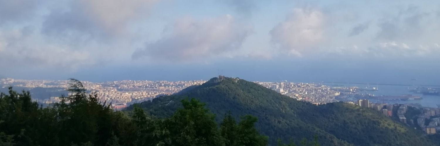 FrancescoMores2's profile banner image