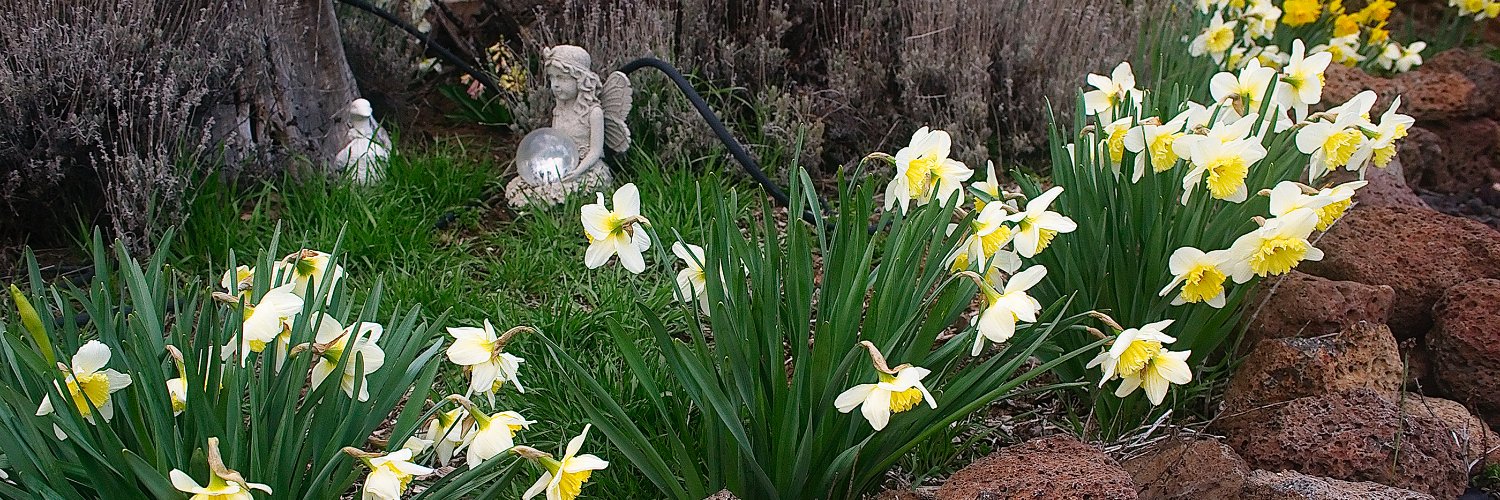 StanleyKrute's profile banner image