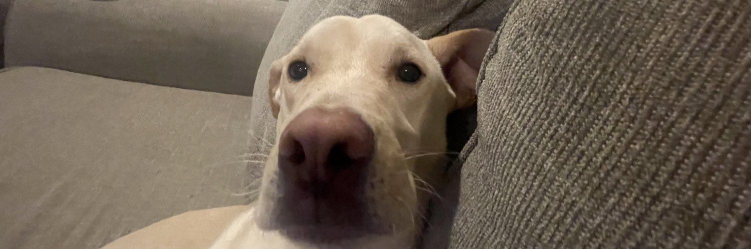 JimThreet's profile banner image