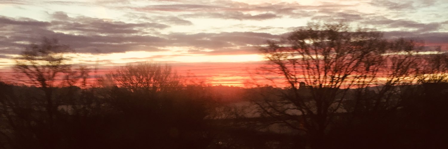 ShelleySanbrook's profile banner image