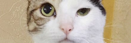 PoorGuy banner