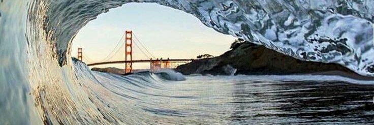 Suzanne_Cummins banner