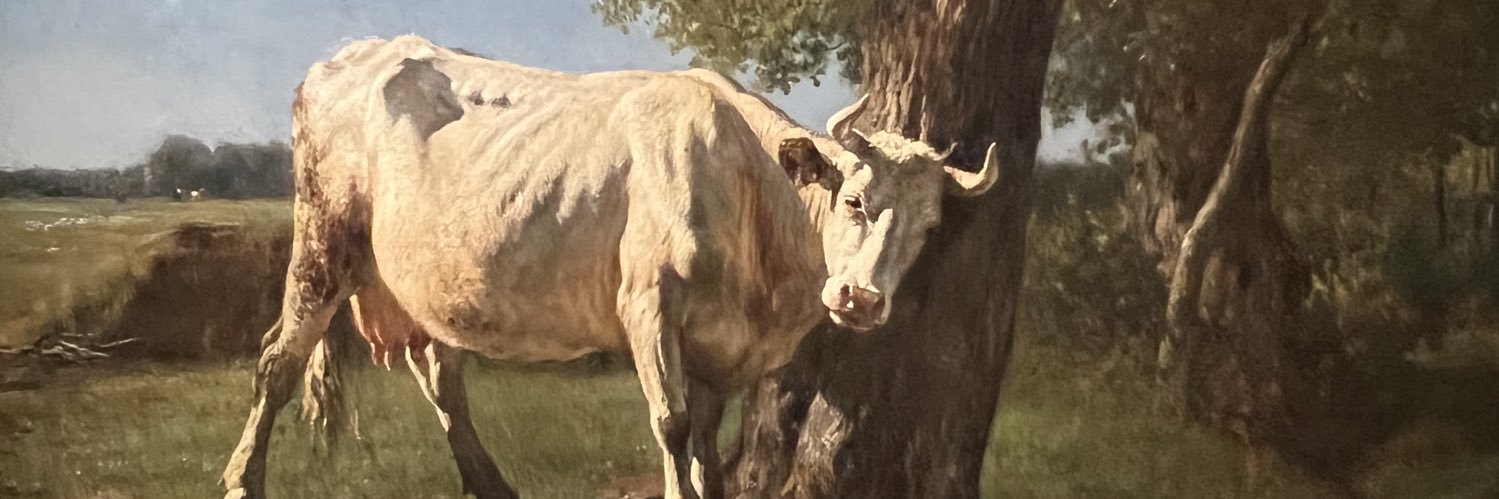 GonzalezRolon7's profile banner image