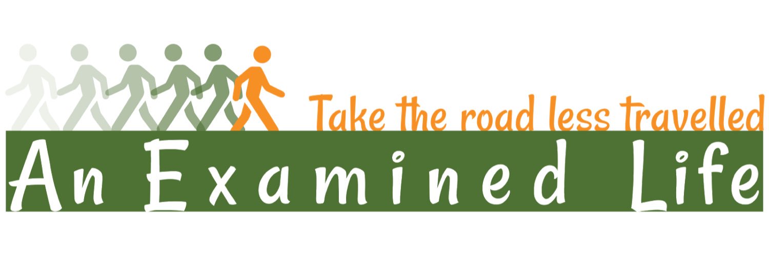 HNJCoaching's profile banner image