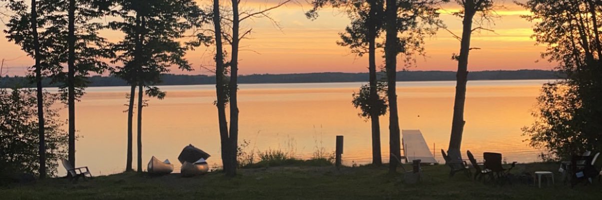 Adele_Stradling's profile banner image