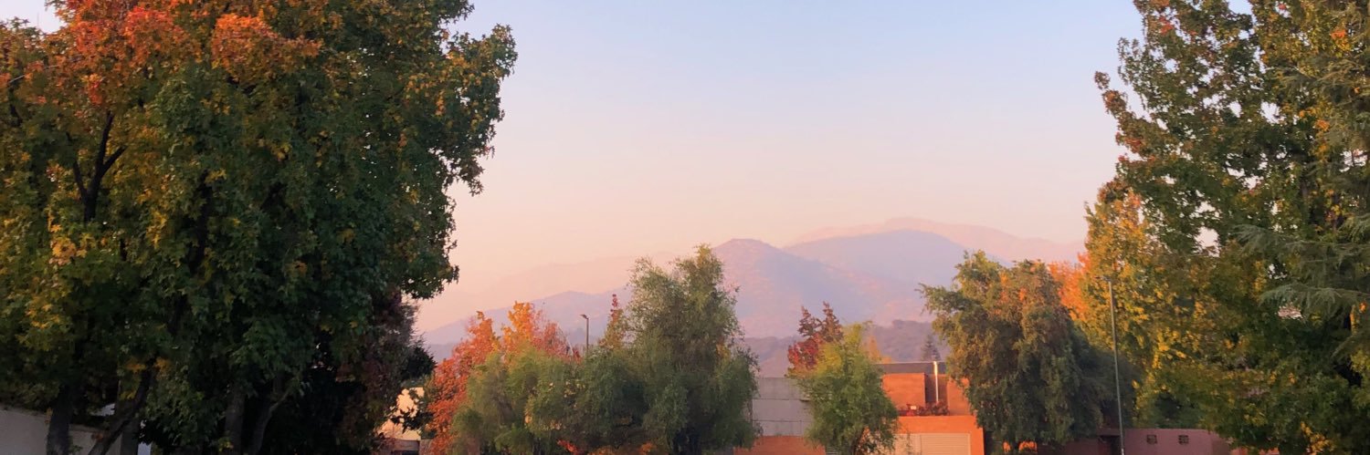 trinigonzam's profile banner image