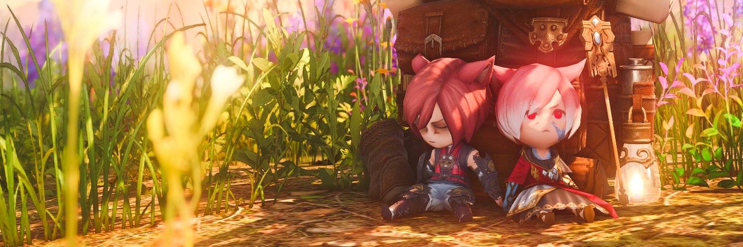 Acalypha's banner