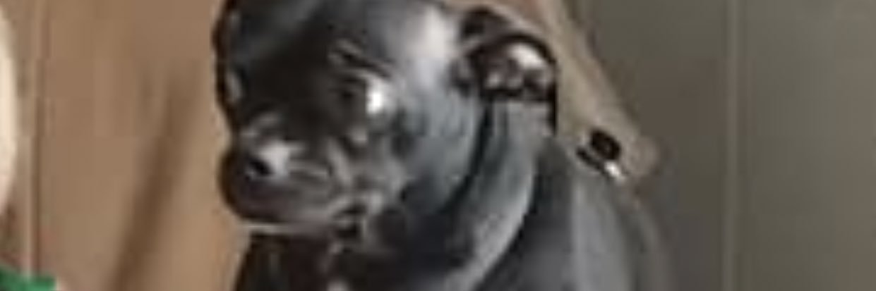 TayBec_1998's profile banner image