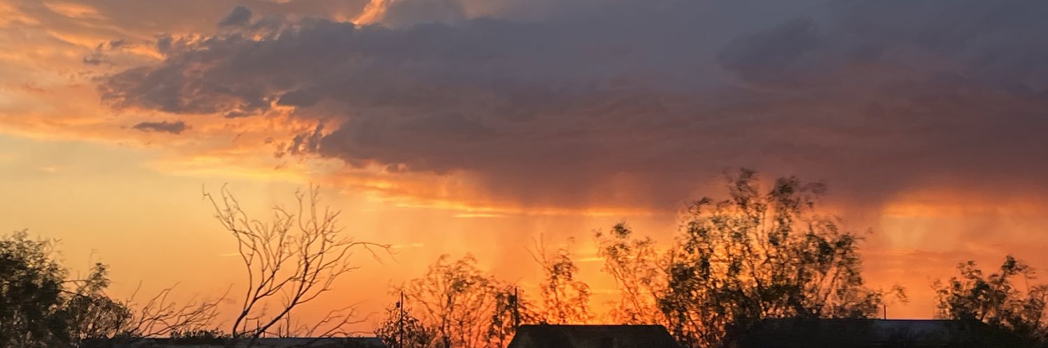 EricaAtom420's profile banner image
