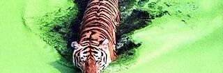 LatonyaHansen7's profile banner image