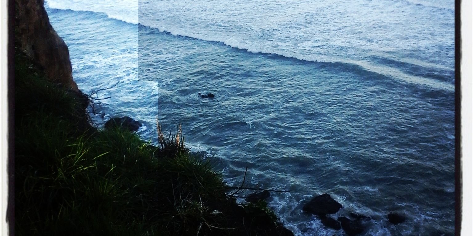 DPanziera's profile banner image