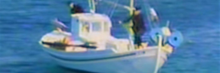 PixulKat's profile banner image