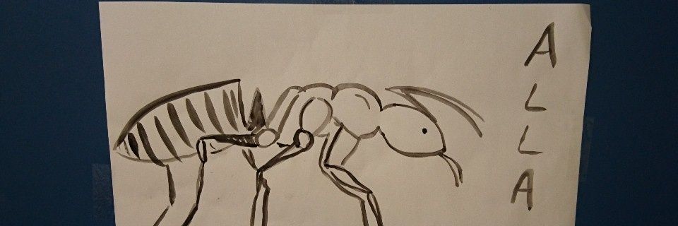 AllaFourmis banner