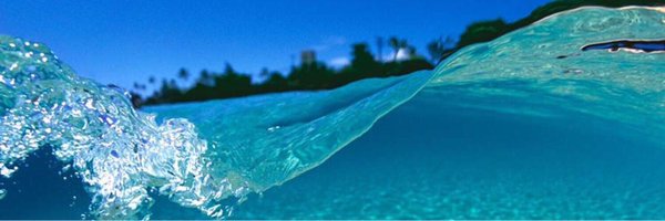 sandyOliveiraLS's profile banner image