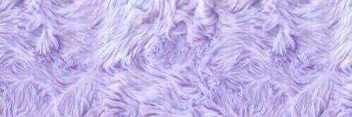 __aaatauno's profile banner image