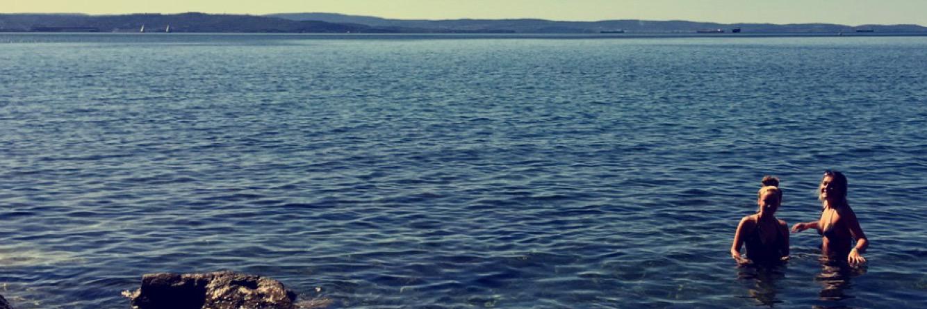 CatherineWhyte1's profile banner image