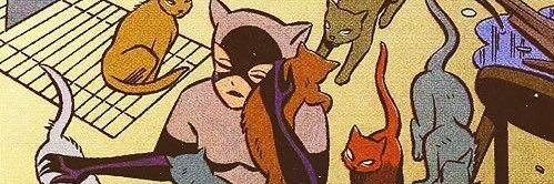 ratadelcielo's profile banner image