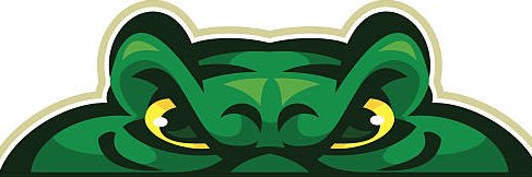 GatorSwimming's profile banner image