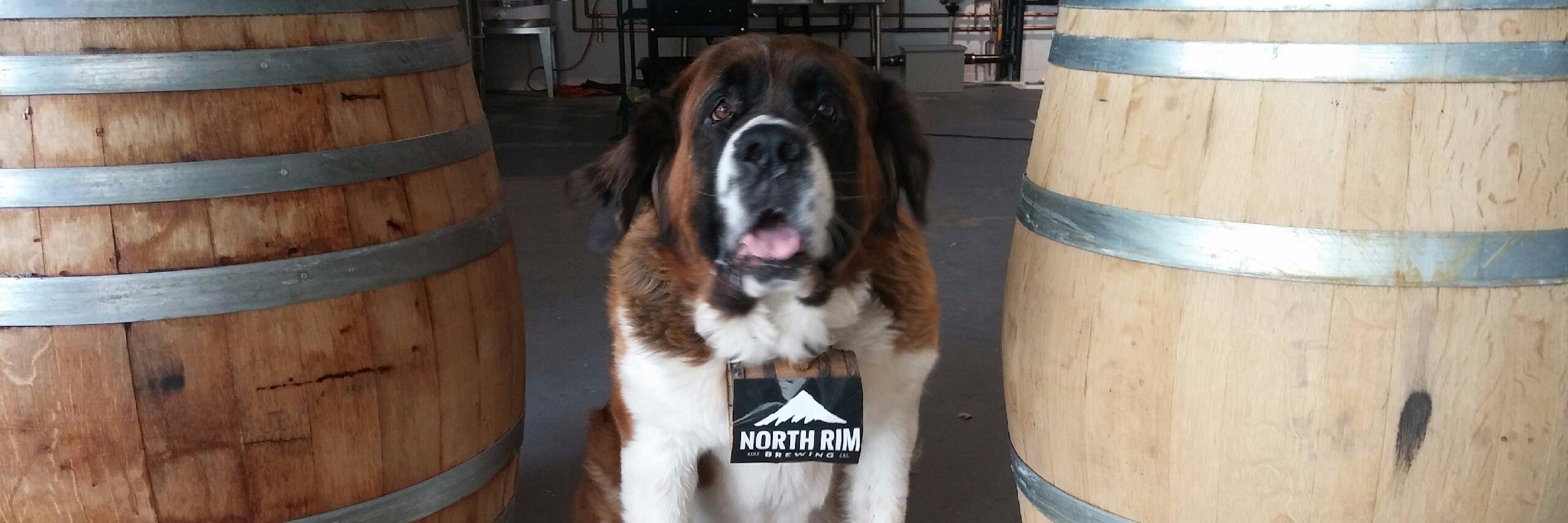 Northrimbrewing banner