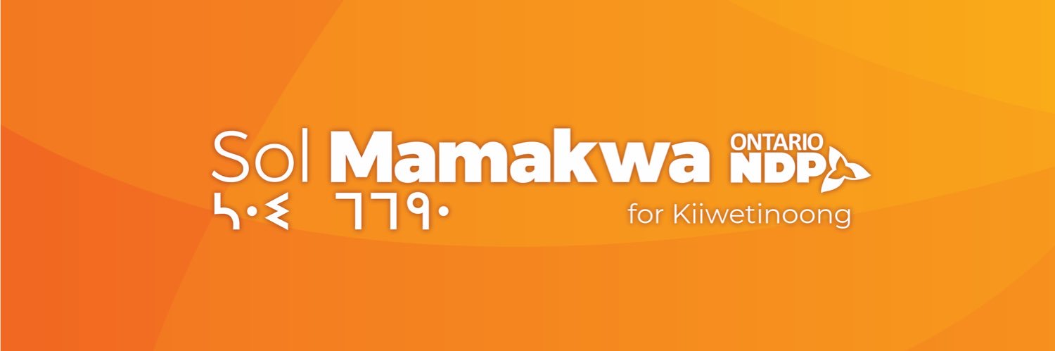 Sol Mamakwa banner