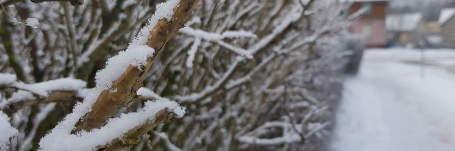 Samucis161's profile banner image