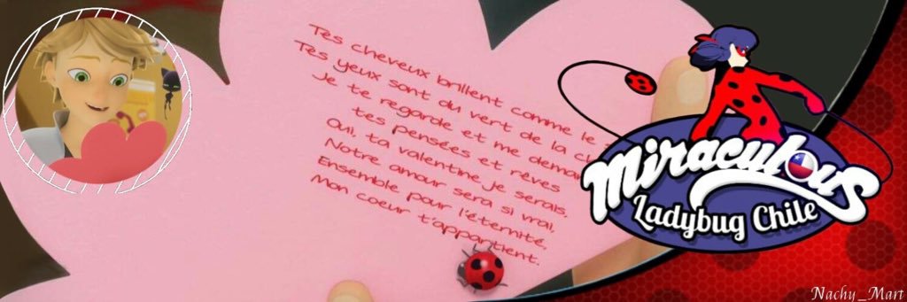 MLadybugCHILE's profile banner image