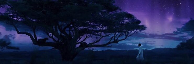 Evaly87's profile banner image