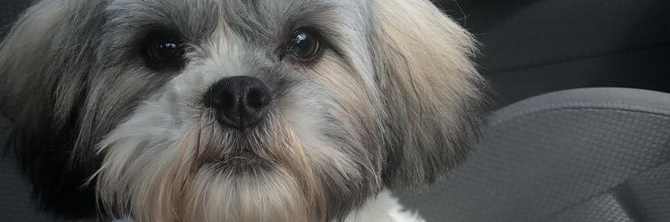 micpharb's profile banner image