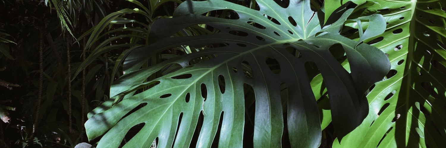 chanteyrueda's profile banner image