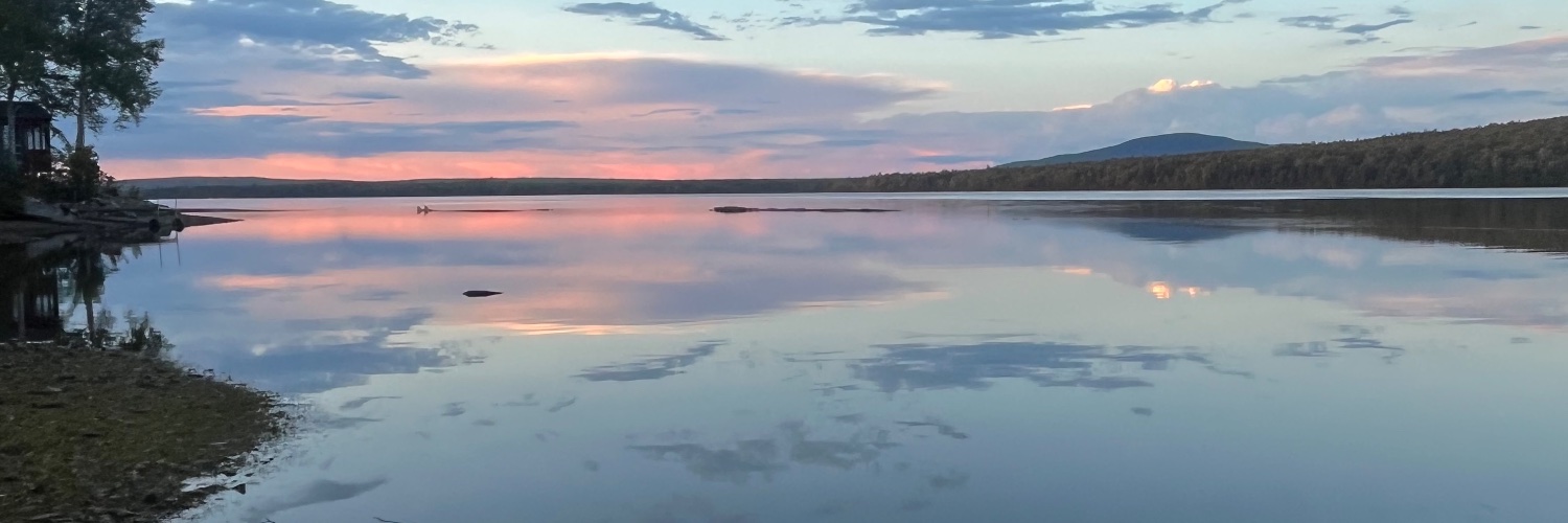 RoxH✝️🇺🇸 banner