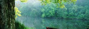 amju1014's profile banner image