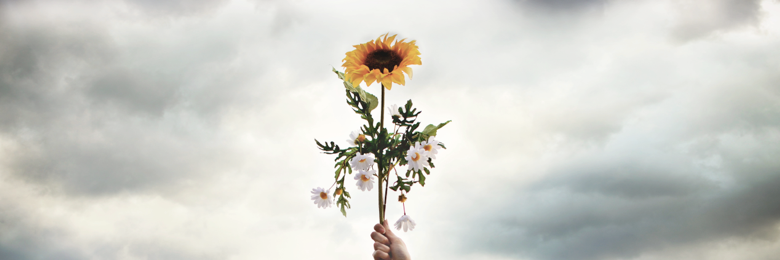 CallanLoves's profile banner image