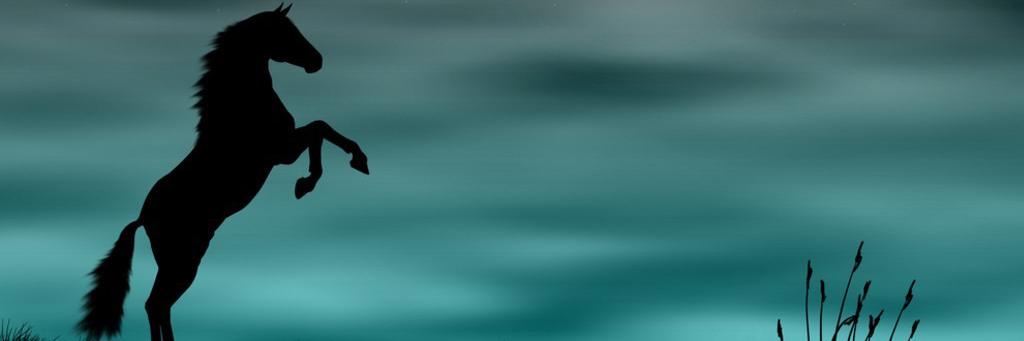 YoungCCY's profile banner image