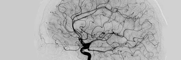 stephencaponemd Profile Banner