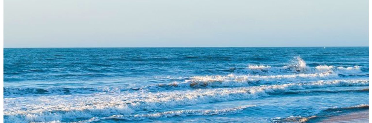 nsah1408's profile banner image