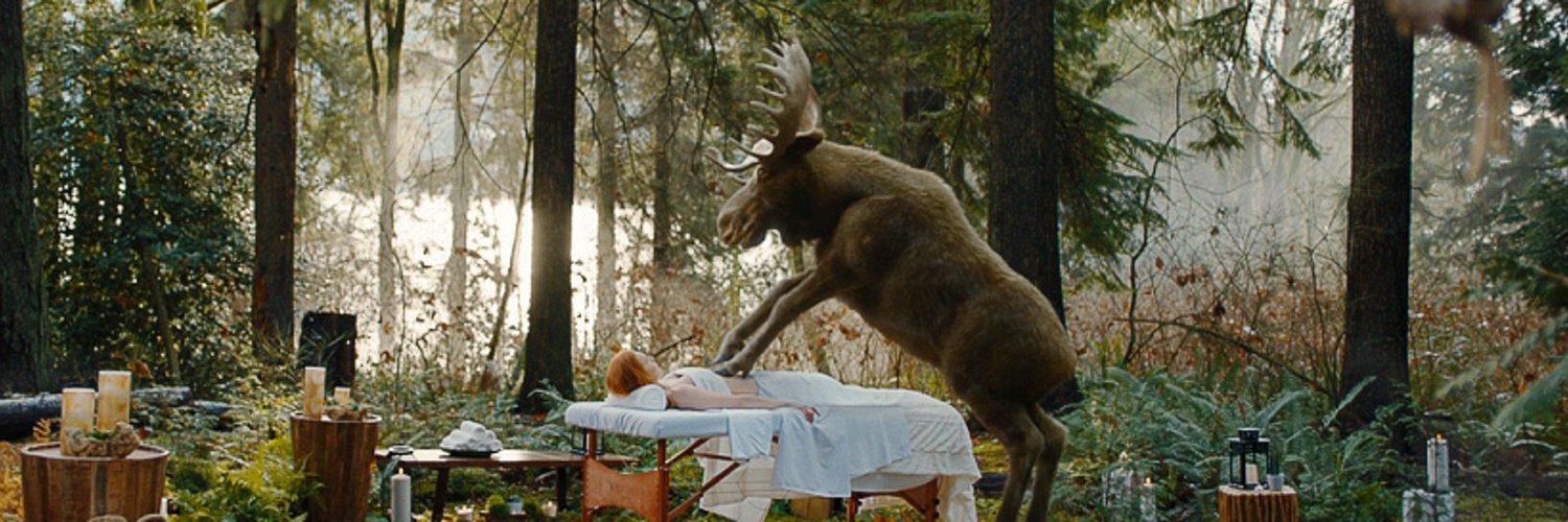 TheMooseSpa's profile banner image