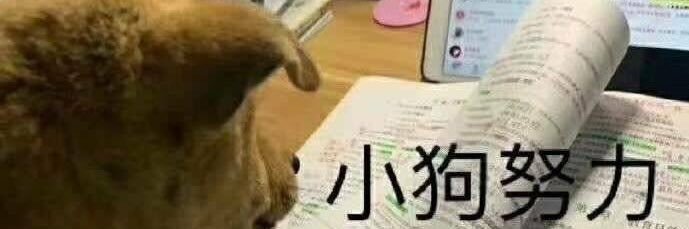 龋齿_Hitokui banner