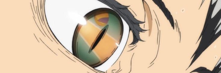 rinxyume100's profile banner image