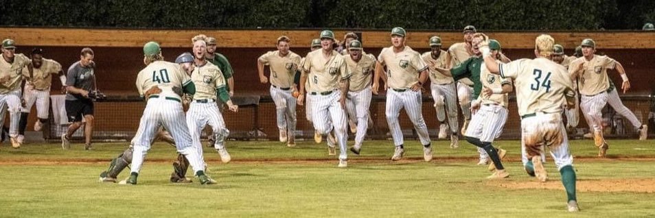 GGC Baseball's banner