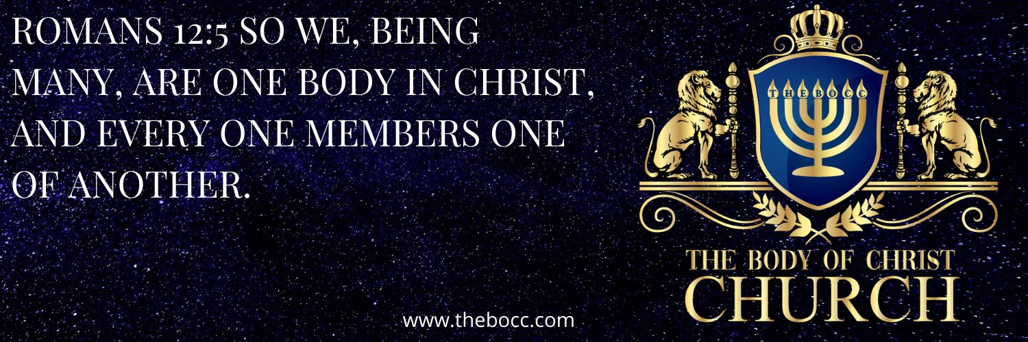 thebocc's profile banner image