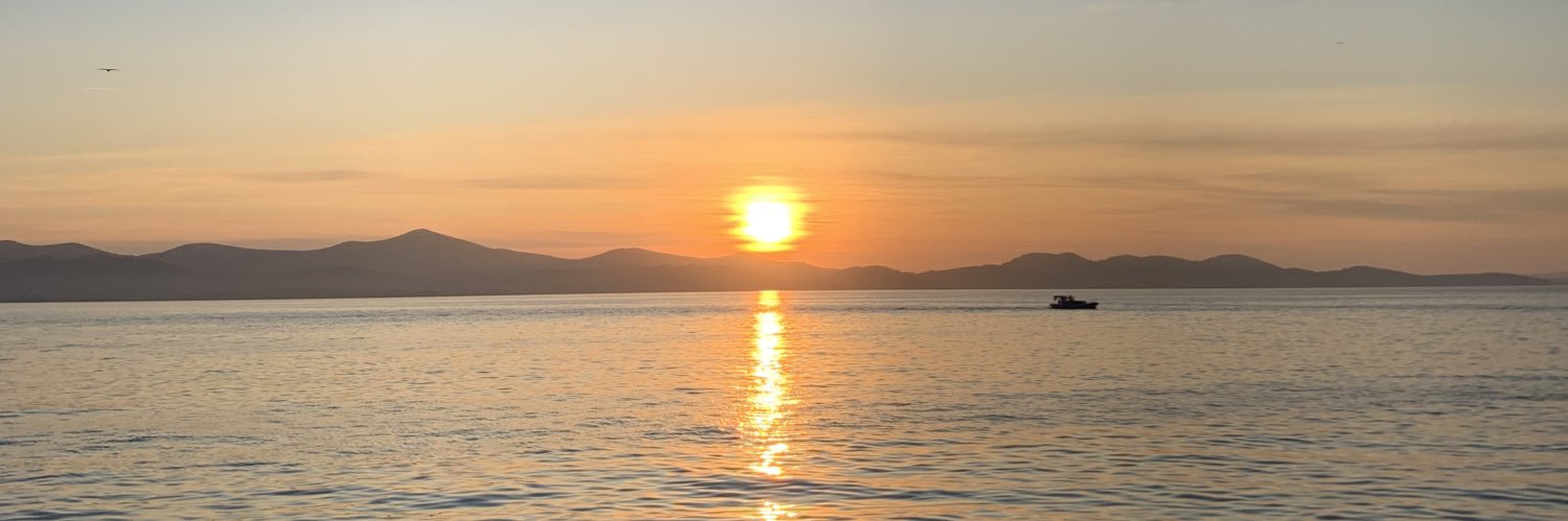 maiborda's profile banner image