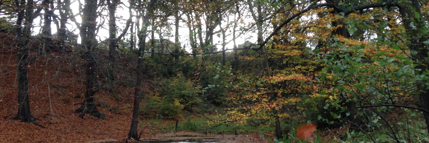 Deaf Education Leeds banner