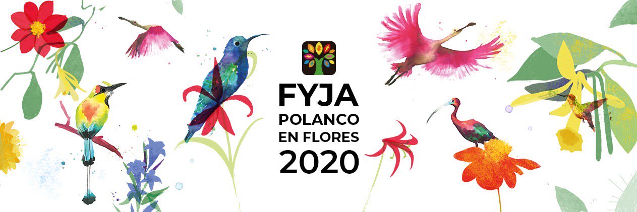 FYJA banner